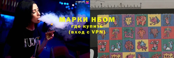 шишки Богородицк