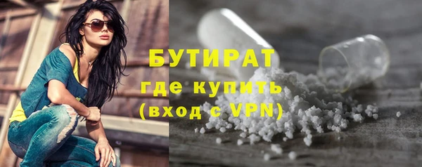 шишки Богородицк