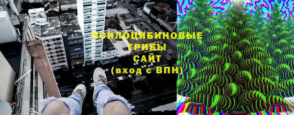 шишки Богородицк